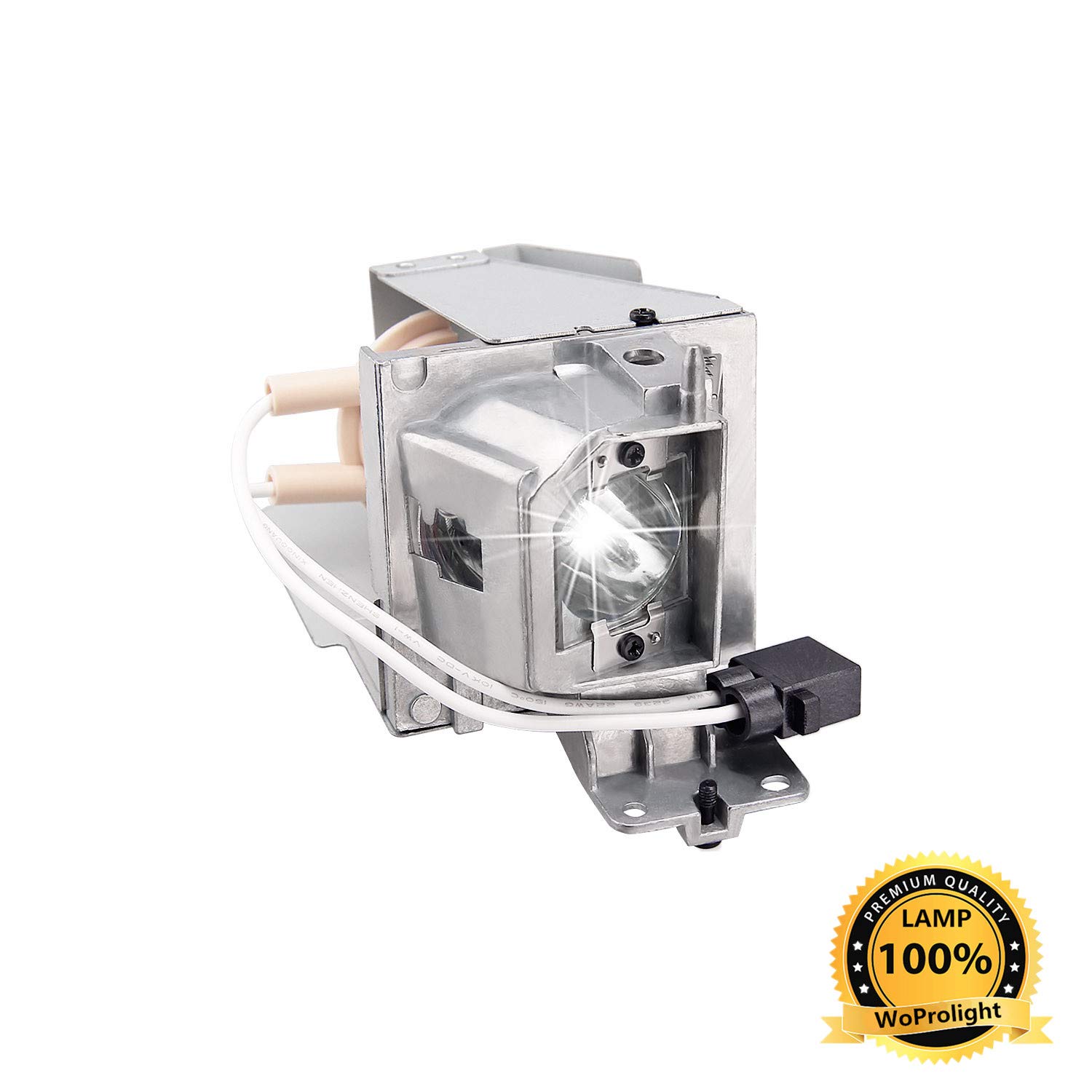Amazon.com: Woprolight SP.8VH01GC01 Projector Replacement Lamp